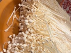 -龍歌自助小火锅(城阳万象汇店)