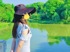 -八大山人梅湖景区