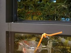 -袁记串串香(新南门店)