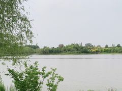 -东郊湿地公园