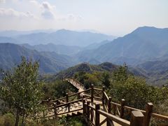 -大岭沟猕猴桃谷风景区