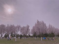 -洨河生态公园