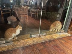 -浙江西子宾馆·瑶园咖啡厅