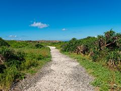 -龙坑生态保护区