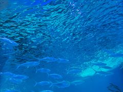 -福州罗源湾海洋世界旅游区