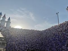 -莫子山公园