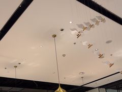 -羲和雅苑•北京烤鸭(乐园道万象城店)