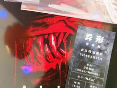 -万达影城(汉街万达广场IMAX店)