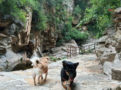 -黑龙潭风景区