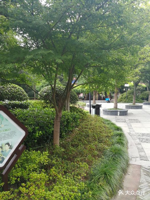 明楼公园图片 - 第4张