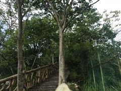 -蝶舞清江·恩施云顶景区(黄鹤峰林)