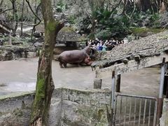 -维也纳酒店(重庆西站巴国城店)