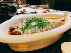 清蒸东海大黄鱼-彩虹之约•淮扬家宴(亚运村店)