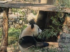 -杭州动物园