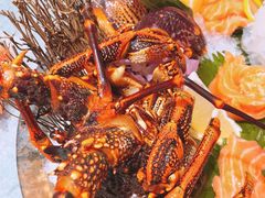 -望乡楼上海菜(日月光店)