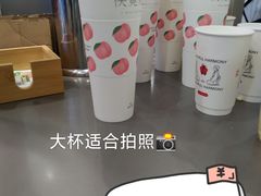 -伏小桃(萧山银隆店)