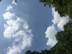 -望天鹅景区