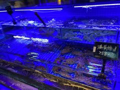 -渔民船说·北塘海鲜·天津菜·海肠捞饭(北塘古镇店)