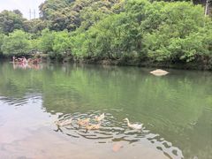 -上坦村