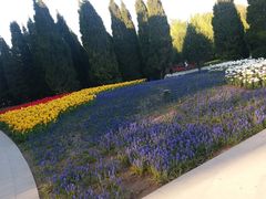 -石家庄市植物园
