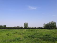 -汉长安城未央宫国家考古遗址公园