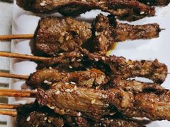 -墨脱石锅椰子鸡•香草鸭•东山羊(大东海店)