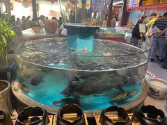 -魏铭鱼头捞饭(晋阳路店)