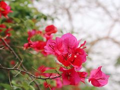 -石梅湾艾美度假酒店