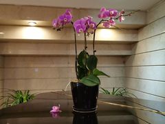 -上海国际饭店