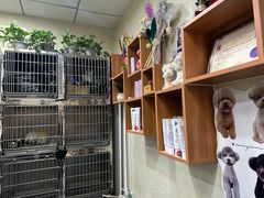 -康乐宝动物医院