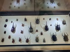 -燕莎友谊商城(亮马桥店)