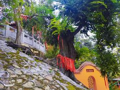 -宝通禅寺