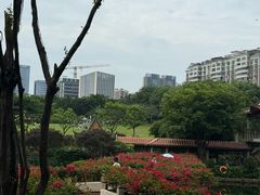 -深圳龙潭公园
