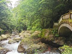 -西岭雪山大飞水景区