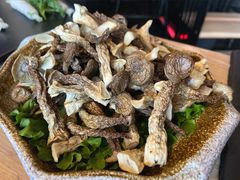 养胃鹿茸菌-新草堂锅物料理(泉城路店)