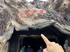 -贵州森林野生动物园