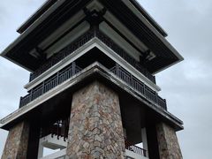 -大湾区中央湿地公园