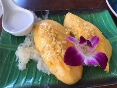 -Jungle Kitchen