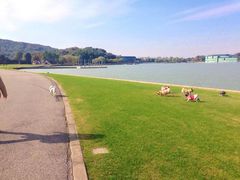 -上海月湖雕塑公园