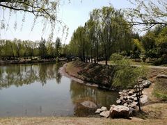 -莫子山公园