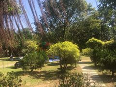-滴水岩森林公园