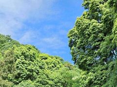 -青城山