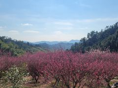 -青山湖景区