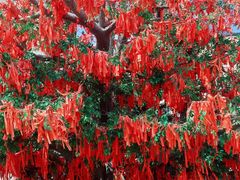 -济南方特东方神画