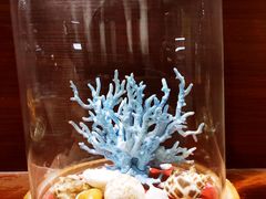 -青岛贝壳博物馆