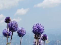 -白草畔自然风景区