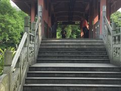 -柳侯公园