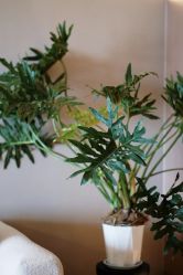 点击看大图 -栖SPA·ONDA ·海菲秀·皑皑科技美肤中心