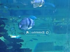 -鸿通城购物中心