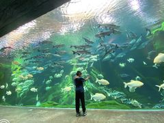 -波塞冬旅游度假区